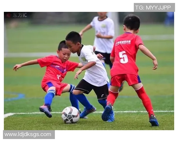 沈阳足球明星的崛起与成就:从青训到职业联赛的辉煌历程 沈阳足球明星的崛起与成就:从青训到职业联赛的辉煌历程