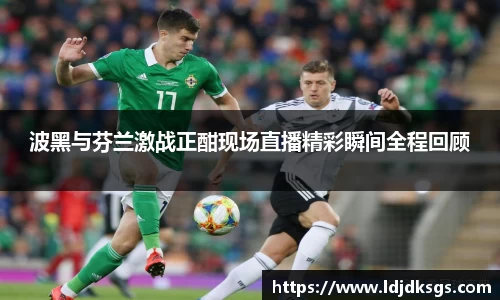 波黑与芬兰激战正酣现场直播精彩瞬间全程回顾